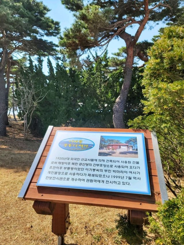 고성의 아름다운 화진포 해변의 볼거리🩵