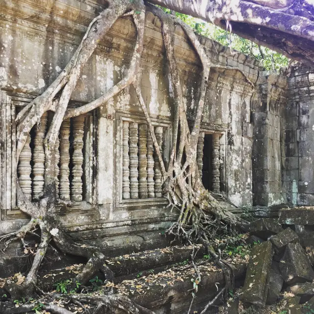 🇰🇭 Beng Mealea temple. Siem Reap Cambodia