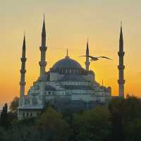 The unique mosque - Blue Mosque