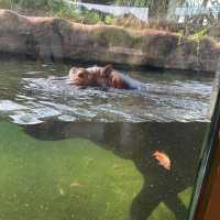 【臺北市立動物園】：樂學給合♡親子探索自然的夢幻之旅