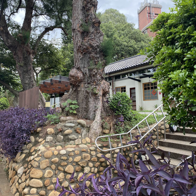 楊梅故事園區🏠