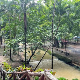 Malaysia 🇲🇾