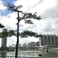 Tsuen Wan Promenade 