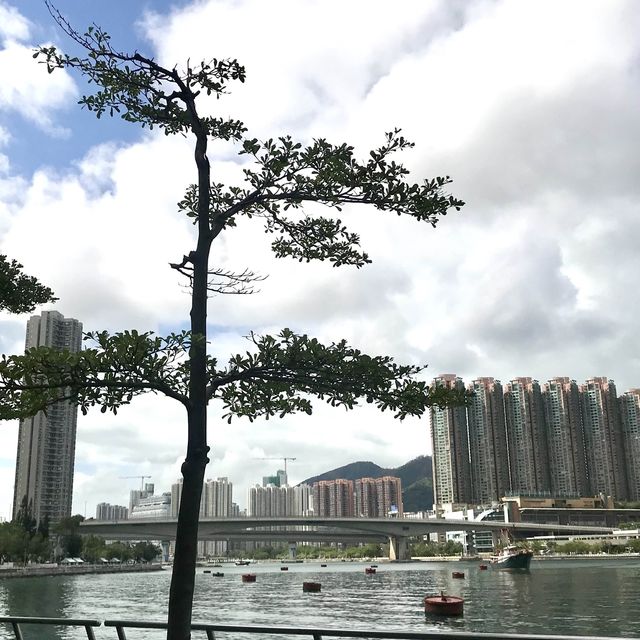 Tsuen Wan Promenade 