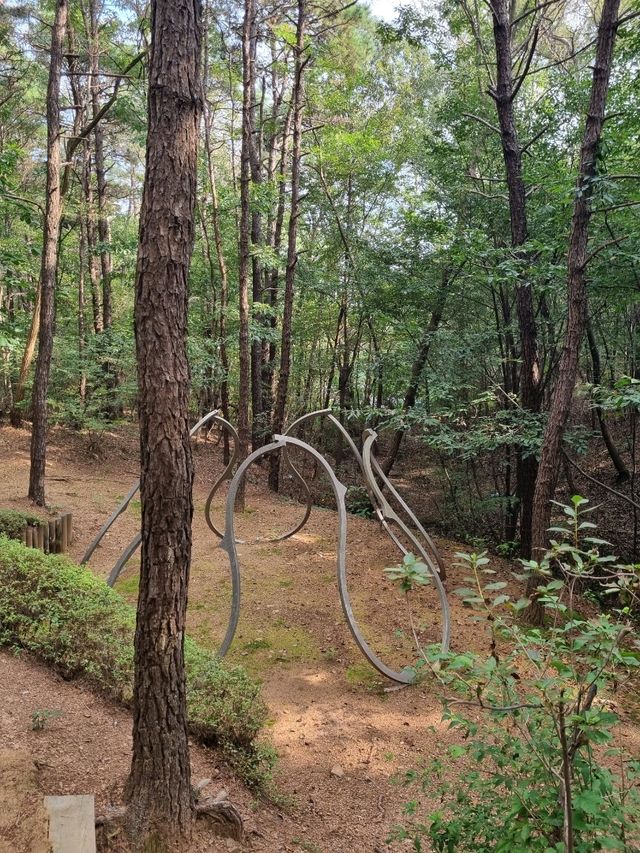 숲에서 공룡을 만날 수 있다면?!