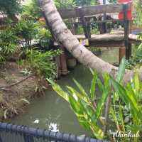 คาเฟ่บรรยากาศสวนมะพร้าว