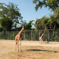 Safari Park, Kanchanaburi บ่อพลอย