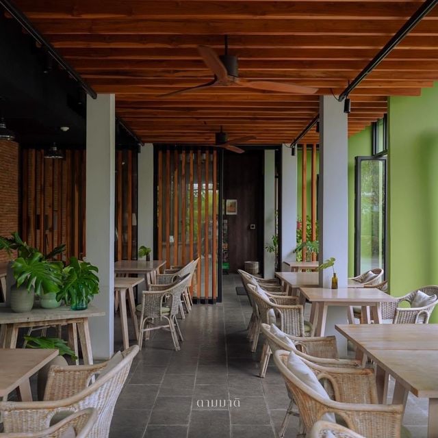 Spice House Chiangmai-สไปซ์ เฮาส์ เชียงใหม่ 