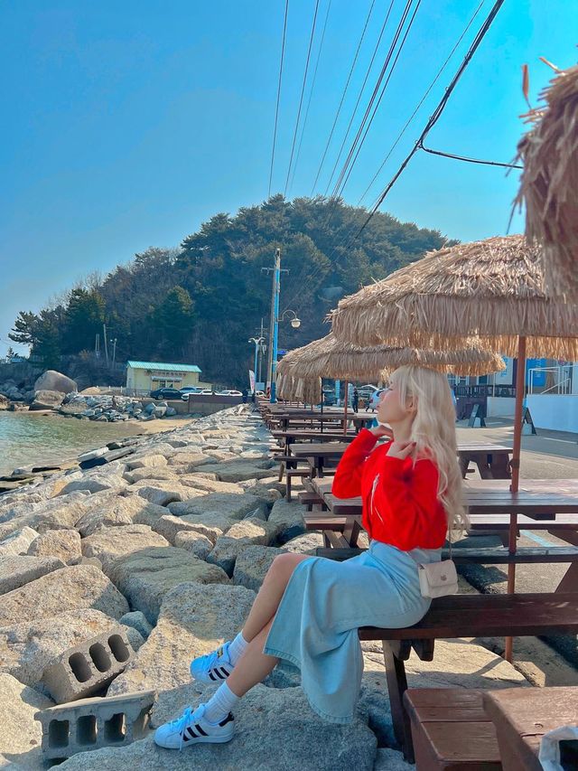 죽도해변뷰 카페 마할로☕️