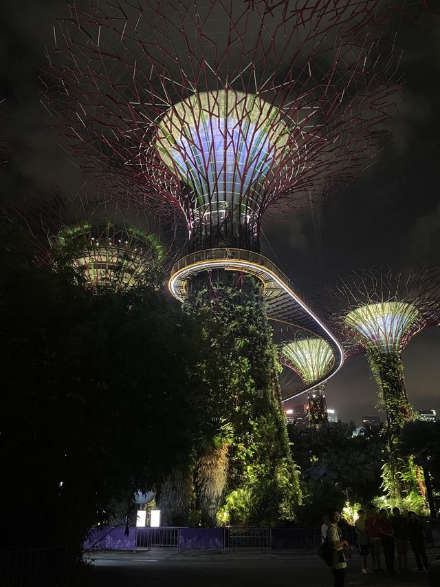 新加坡 | 必去睇夜景gardens by the bay