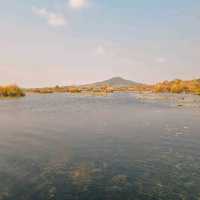 สวนพฤกษศาสตร์ระยอง พายคายัคชมธรรมชาติ 🐟🌳🌲