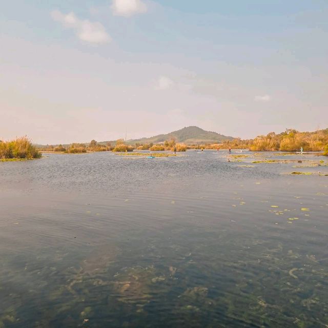 สวนพฤกษศาสตร์ระยอง พายคายัคชมธรรมชาติ 🐟🌳🌲