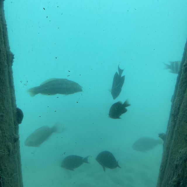 宮古島　天気が悪くても楽しめるスポット！