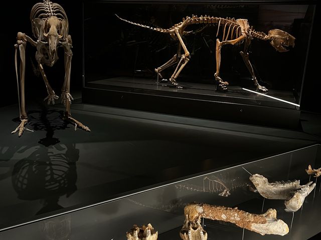 My Ancestors' 🤩🥰 Museum of my vibe🫢😝