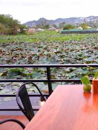 🪷Café Lae Bua Samui by ตำเปิดปาก🫦