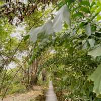 Little tree garden คาเฟ่ที่ต้นไม้โอบรับผู้มาเยือน