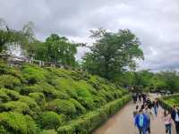 Kiyomizu-dera Temple | Kyoto Japan🇯🇵