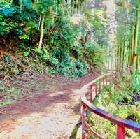 蔵王橋
