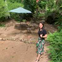 Jungle Cafe 