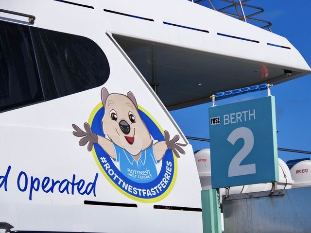 【オーストラリア・パース】ロットネスト島日帰り観光🛳️