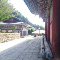 삼존불과 쌍거북바위에 설화가 팔공산 은해사에잇엇다