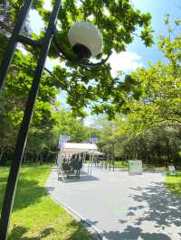 深圳蓮花山公園