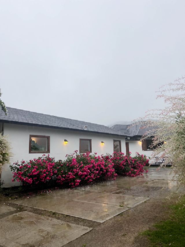 비오는 날도 예쁜 숲뷰카페 여주