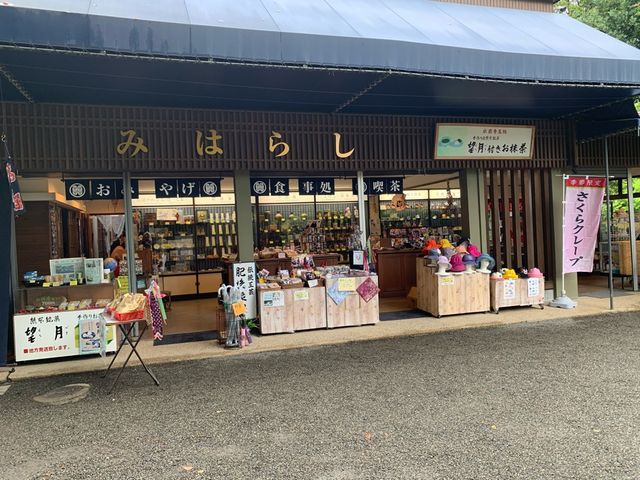 熊本　熊本観光　熊本の癒しスポット水前寺成趣園に行ってきた！