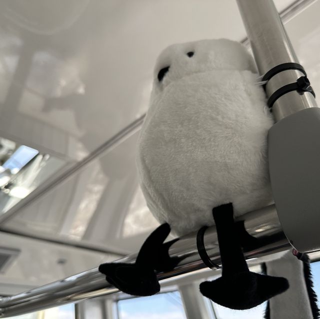 【函館】いざ美しき景色へ！函館山ロープウェイ