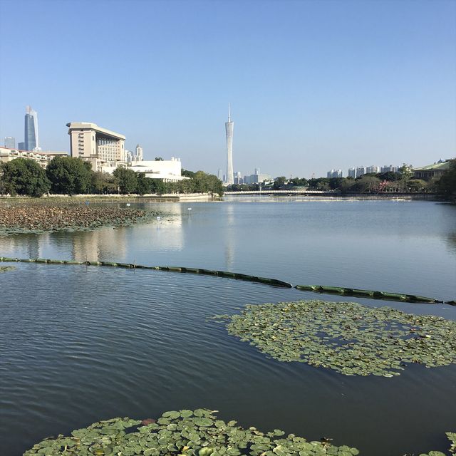 可影廣州塔倒影的公園
