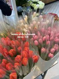 ทุ่งดอกทิวลิปที่ไม่ต้องไปไกลถึงสวิสแล้ววว 🌷🌸✨