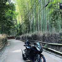 竹林の小径