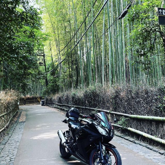 竹林の小径