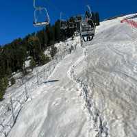 Beautiful Malam Jabba