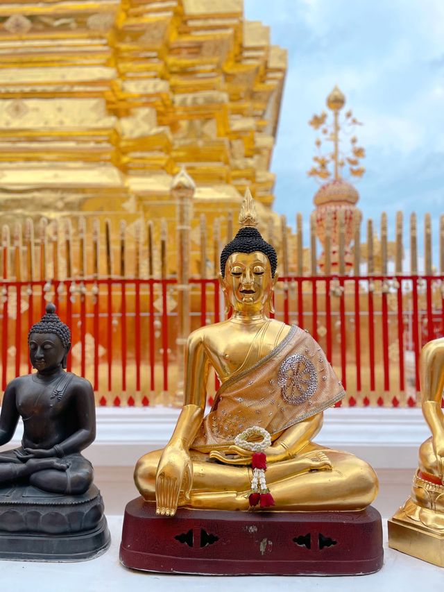 🇹🇭치앙마이 필수명소 황금사원 도이수텝사원⚱️