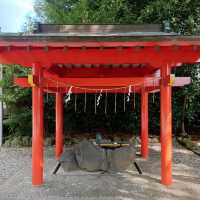 愛知旅行！名古屋「豊藤稲荷神社」「御神木 藤龍」