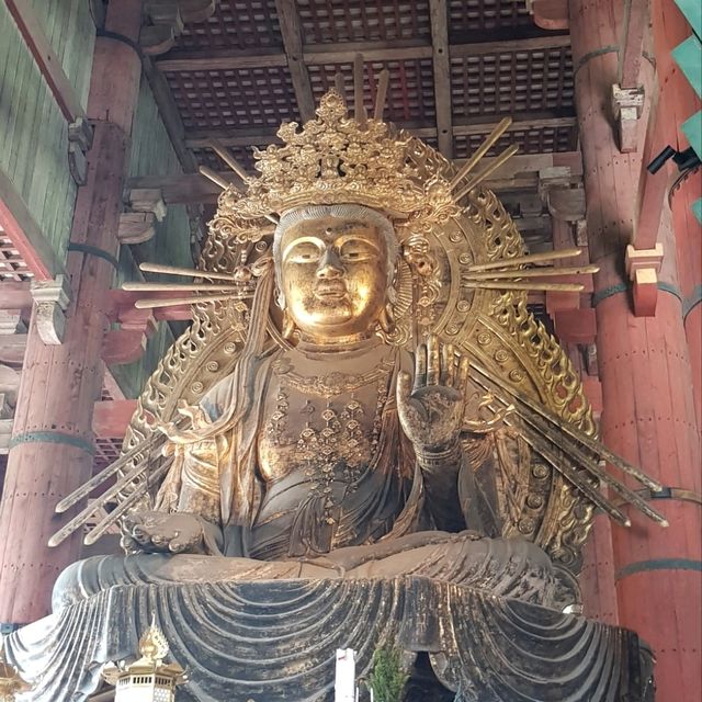 日本必到✍️奈良東大寺