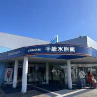 【北海道】サケのふるさと千歳水族館