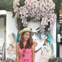 บัวแก้วคาเฟ่ พร็อบเยอะ ถ่ายรูปจุใจ