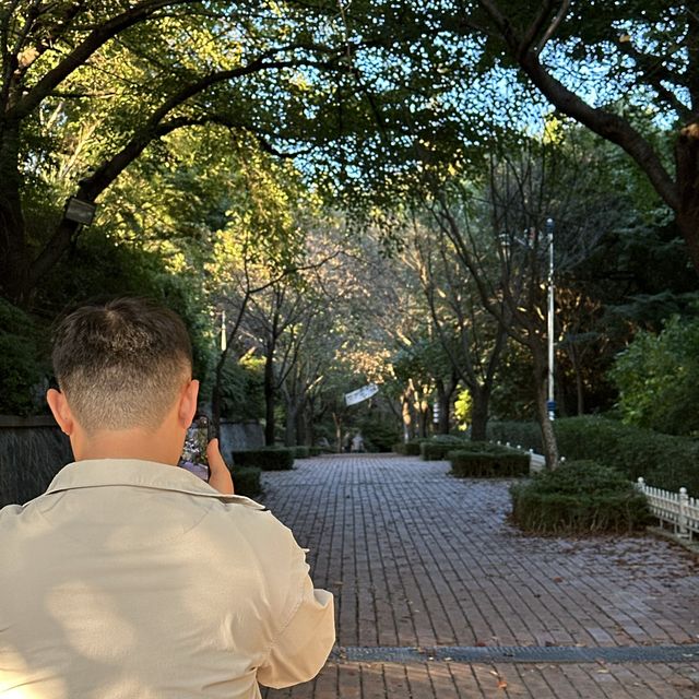 인천바다를 한 눈에 볼 수 있는 석양 명소 🌳 인천 자유공원 & 석정루