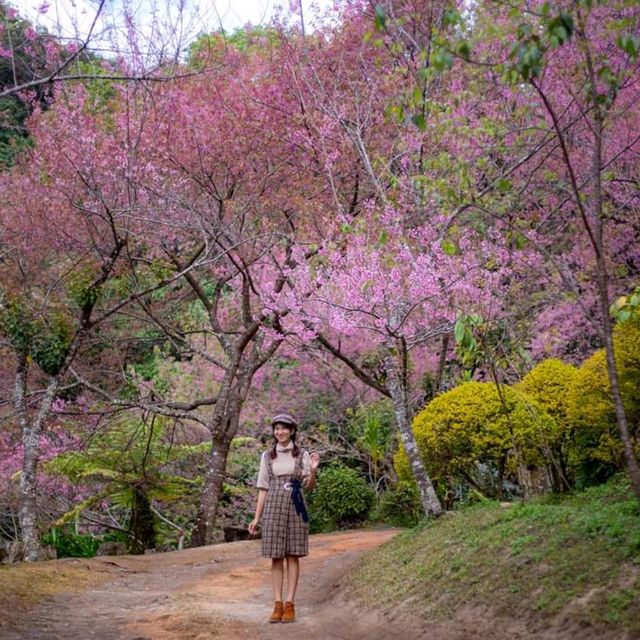 พญาเสือโคร่ง...ขุนช่างเคี่ยน🌸🌸