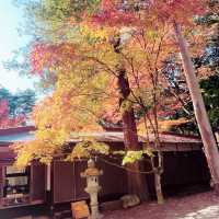 【長野県/紅葉が美しい🍁”出早雄小萩神社”と”出早公園”】