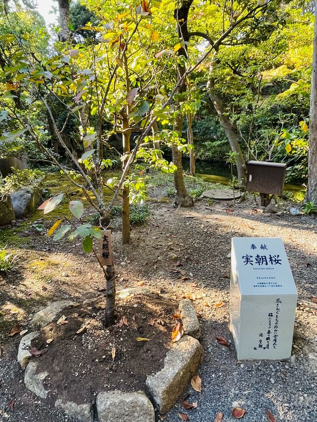 【神奈川県/白旗神社】漆黒の趣ある社殿
