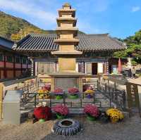 The Beauty Of Bogyeongsa Temple 