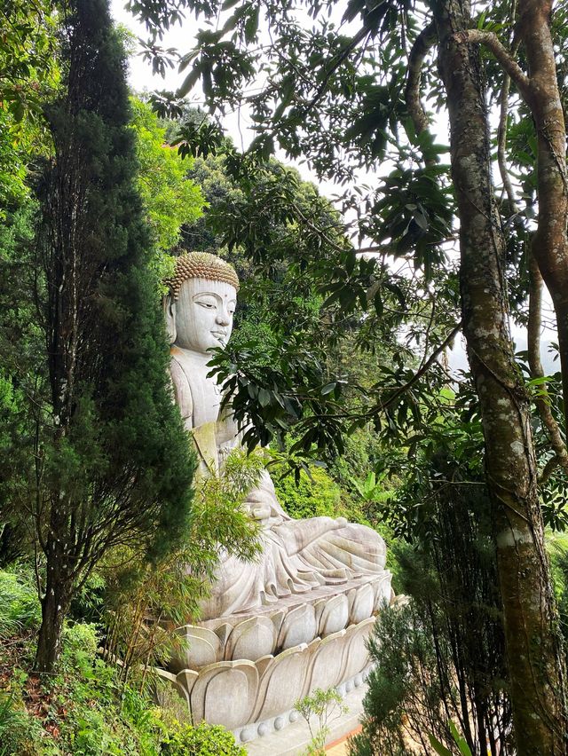 Temple above the cloud 🌤️☁️⛅️🌥️