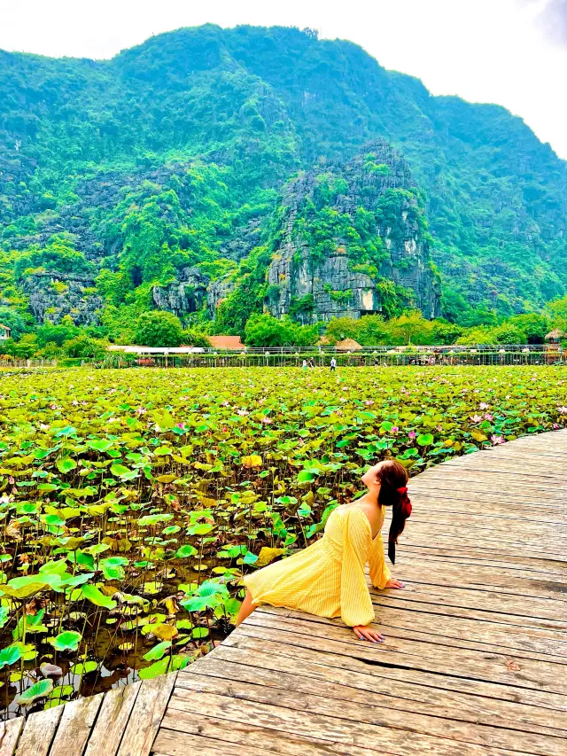 Visit The Highest Peak In Ninh Binh🇻🇳