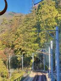 The Mountainside Railway - Hakone Train 