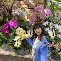 #沖繩最大鬱金香特展