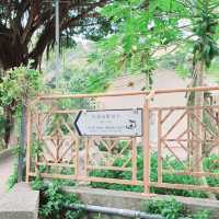 虎山 行