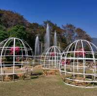Beautiful Chiang Mai Botanic Garden